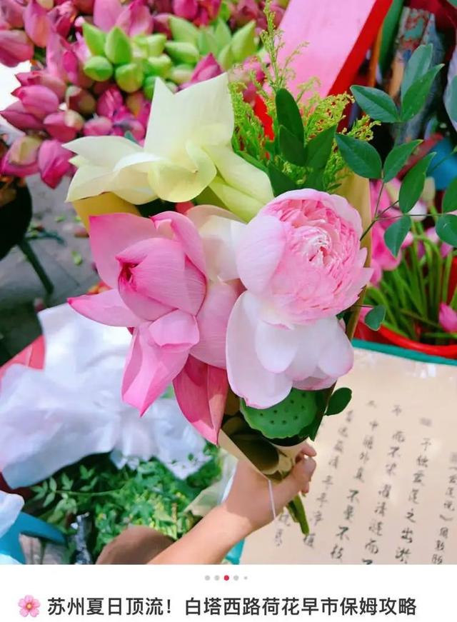 上海人组团去追这个“夏日顶流”，狂晒朋友圈！限时开放