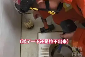 手机掉进厕所，男子伸手去捞，结果悲剧了...图片