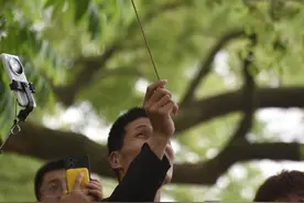 逛西湖，逗松鼠，人见人爱的小精灵不经意间给你惊喜图片