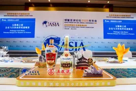 五粮液飘香博鳌亚洲论坛 向世界展现“和美之味”图片