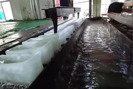 连日高温大冰块急缺！记者走进上海制冰企业，市民头一趟看到“炼冰”过程图片