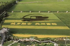 嘉兴的启示图片