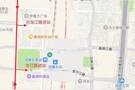 事关春运返乡！这份成都东站出行指南请收好图片
