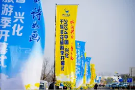 阳春三月 江苏兴化千垛菜花旅游季吹响“春天号角”图片