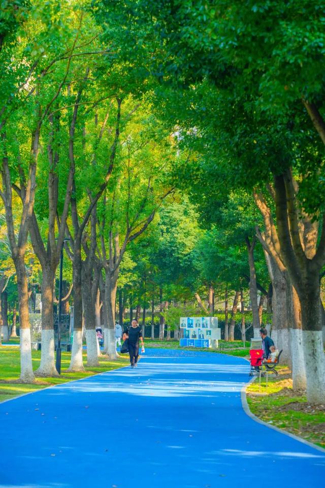 在江汉，听见公园里的秋色私语