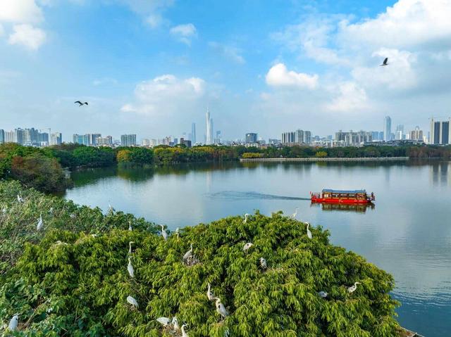 《珠江》里，藏着这么多广州海珠“宝藏”