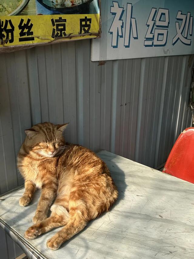 太火爆！无锡人最近都在…