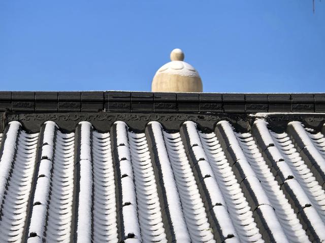 雪后的大运河森林公园，活力满满