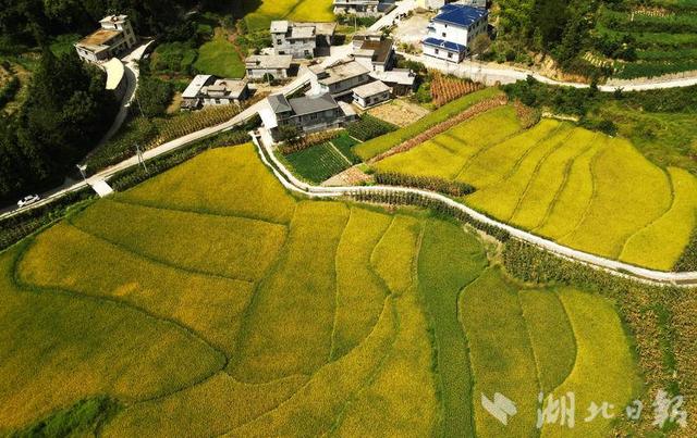 咸丰大铧尖村：高山田园“丰”景美