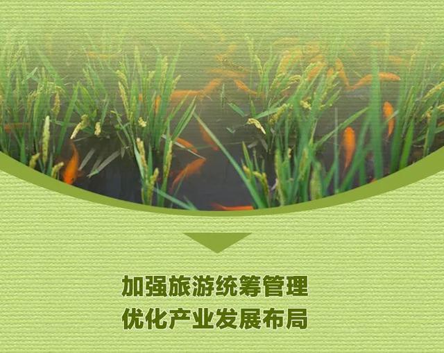 来金华游玩更舒心 新版《浙江省旅游条例》10月起实施