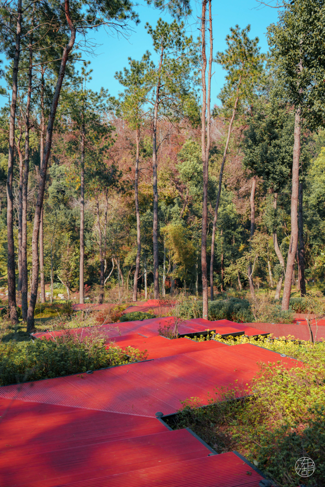 漫步彩虹、栈道追风，东湖徒步新线路美翻了！