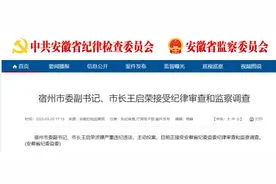 安徽一市长主动投案！图片