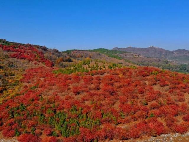 深耕金秋文旅资源，沂水秋季旅游市场热度攀升