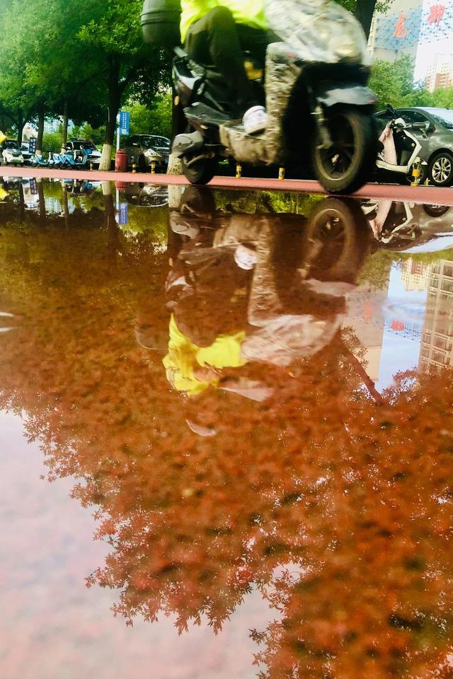 图集｜傍晚雨来