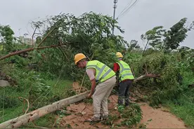 广东铁塔已抢修复通85%台风“摩羯”受灾基站图片