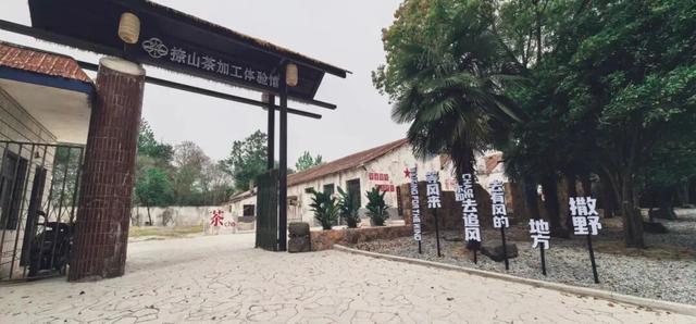 速藏启程！仪征秋季骑行一站式攻略，把秋景与趣味统统骑进眼里~