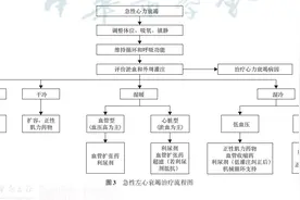 【指南与共识】中国心力衰竭诊断和治疗指南2024（下）图片