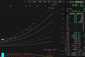 26只连板高位股提示风险后 中化岩土、常山北明等股走出“地天板”图片