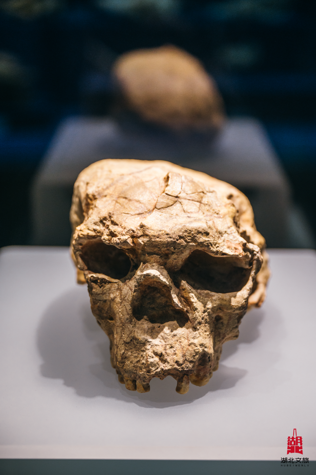 课本里的湖北地标，你去过几个？