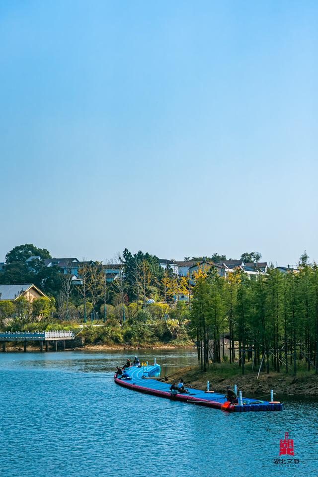 想追风，去团风！