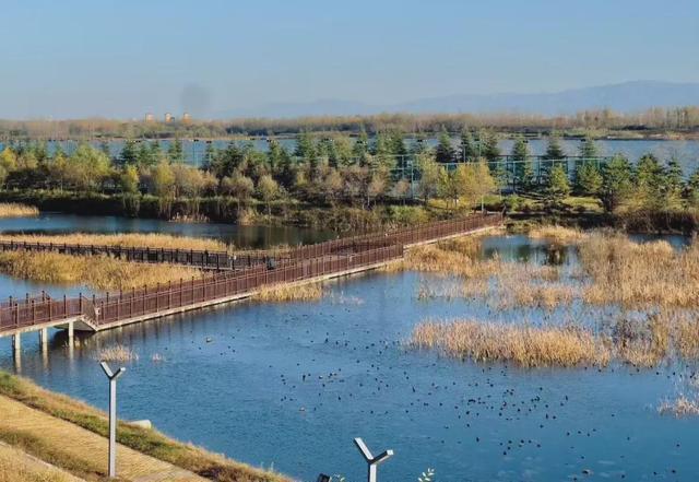 杨凌美成“调色盘”！你爱了吗？