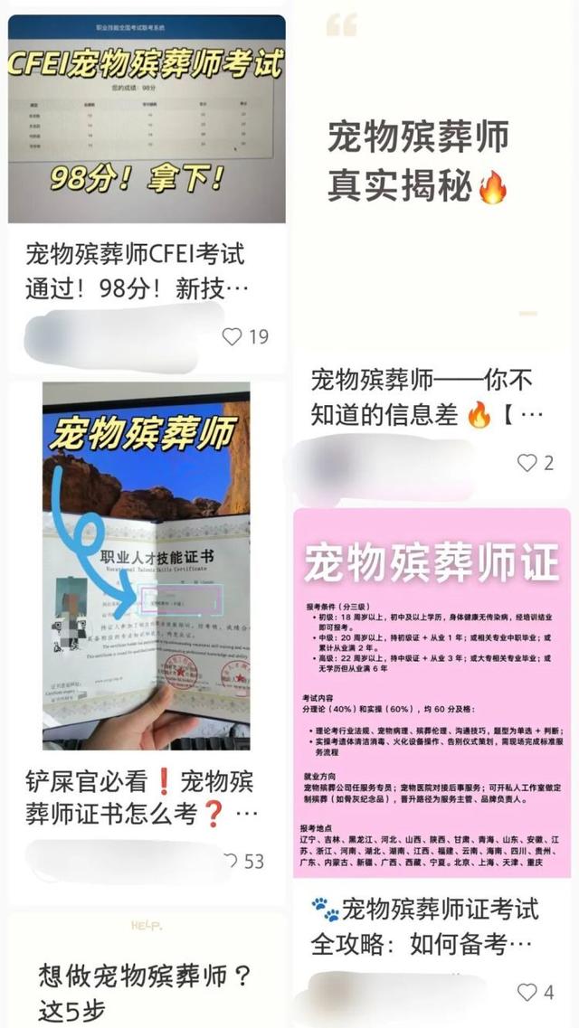 宠物殡葬乱象调查：3000元难买体面告别，无证经营与虚假火化何时休？