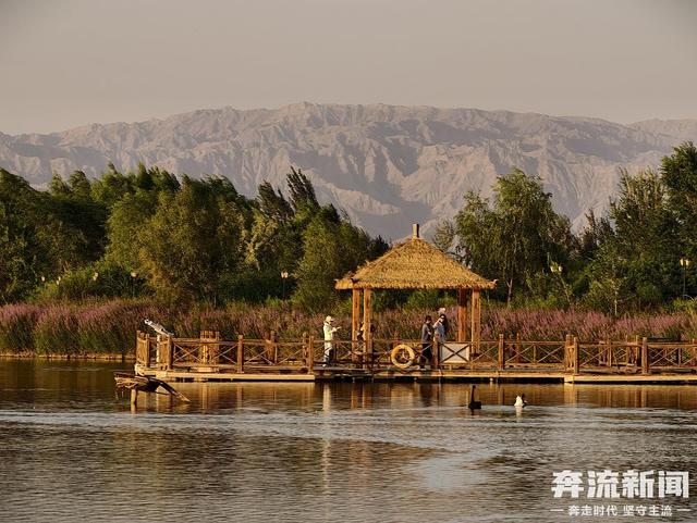 奔流城市计划·张掖丨一汪湿地润甘州
