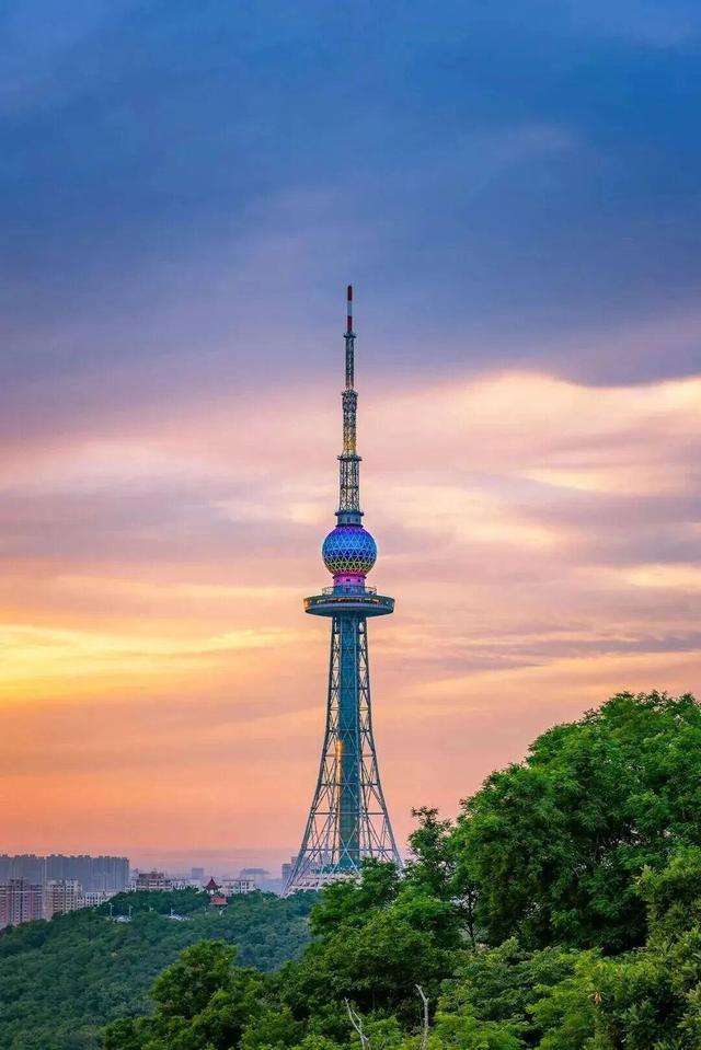 @老师们，节日快乐！请查收您的好客山东专属优惠