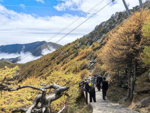 国庆第二天，太白山云海翻滚，游客如临仙境