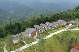 市州观察丨镇兴183·桑枣镇的“蝶变”路图片