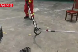 天气渐热海南“蛇出没”，野外被毒蛇咬伤怎么办？预防及自救方法→图片