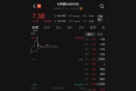 438.9万个中签，全部赚钱！3000亿超级大盘股上市暴涨，股民2小时兑现54亿元利润图片