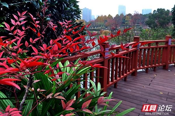 圭塘河生态公园：时光漫过木栈道，城与自然撞满怀