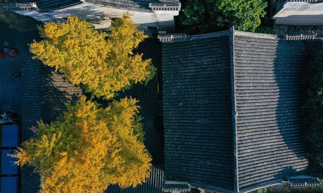 这是今晚的高淳水慢城！