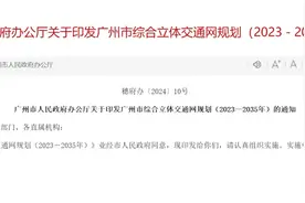最新！广州这5个区将规划建通用机场，白云机场还要建高铁站图片