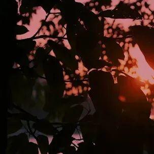 山水为席，美食作陪，一场穿越桂北的感官盛宴