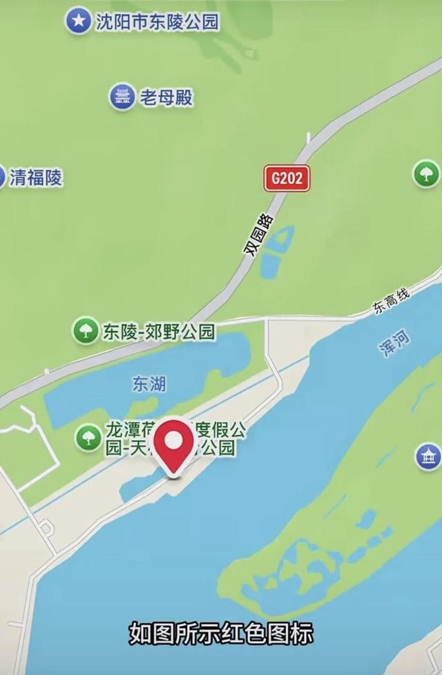 冬日里的童话世界！沈阳宝藏打卡地，攻略来了→