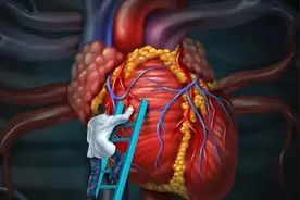 “心阀”老化，身体报警图片