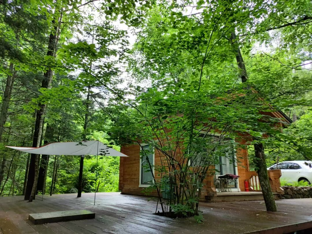 第四届网红打卡地 | 山河画卷——和龙千年红豆杉景区