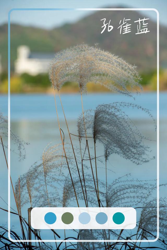 @0731，一组绿心秋色卡，请查收！