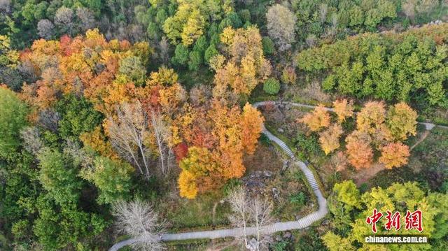 贵州草海北坡公园迎秋冬季最佳观赏期