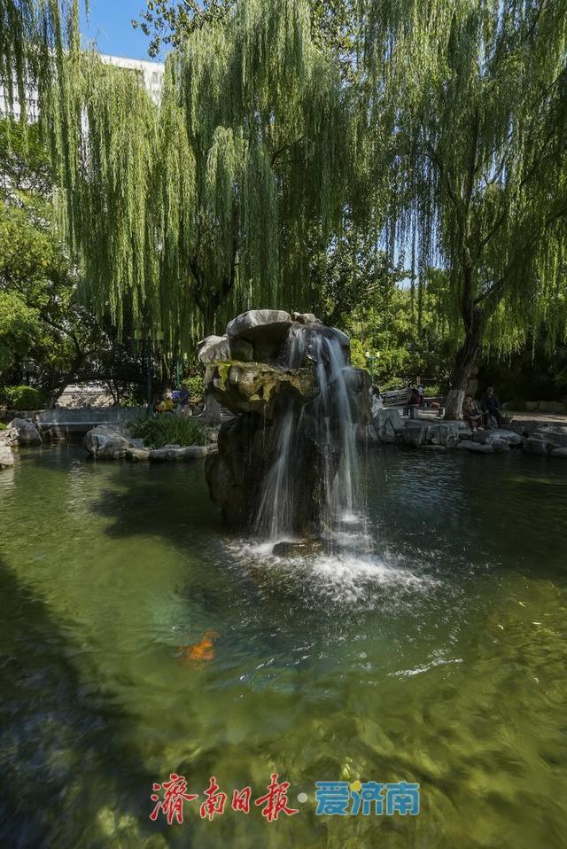 一年四季 泉在济南丨泉水欢腾！“月牙飞瀑”景观进入高光时刻