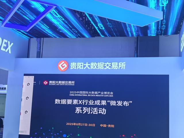 所见即未来——贵州大数据集团展馆用心用情“妆点”迎接四方宾客侧记