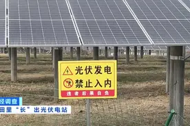高标准农田变光伏电站，耕地保护岂能儿戏？| 新京报快评图片