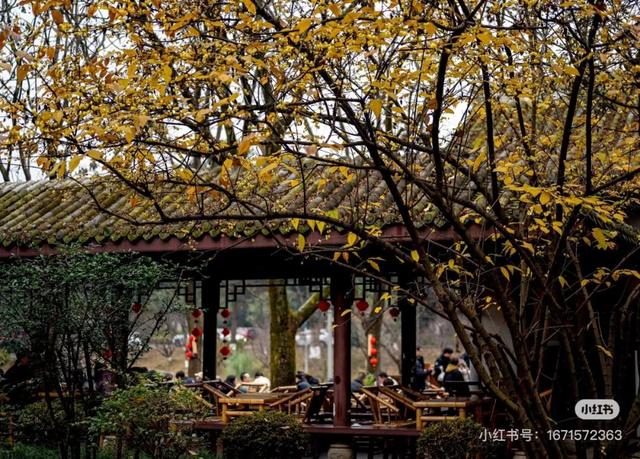 周末赶紧冲！趁着阳光明媚去寻香→