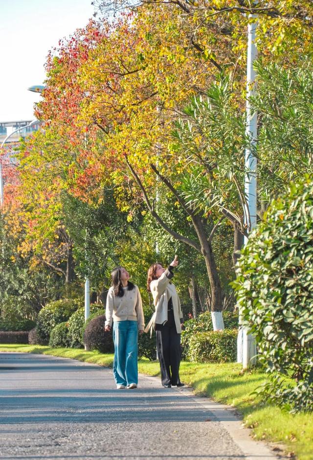 错过真的要等一年！光谷赏秋红橙黄橘绿正当时！
