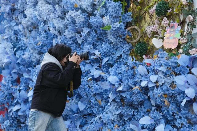 邯郸冀南新区丨初冬美景入画来~