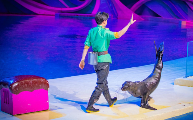 桂林融创乐园海世界，这样玩！