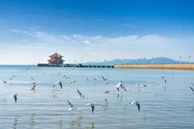 闪电评论｜文旅消费“热”力足 激活齐鲁新动能图片