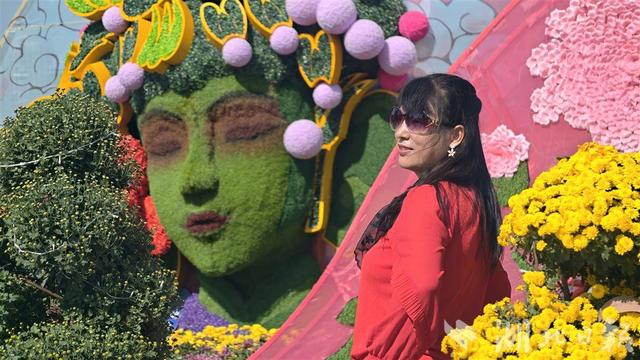 江夏菊展持续火爆 “戏曲”元素出圈